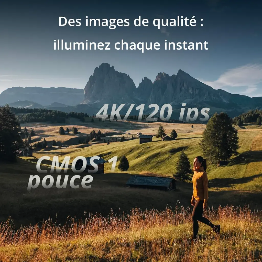 81QIsDL013L._AC_SL1500_.webp