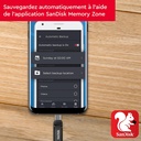 SanDisk Ultra Dual Drive Go 128 Go, Clé USB Type-C