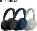 61JBxcWrdTL._AC_SL1500_.webp