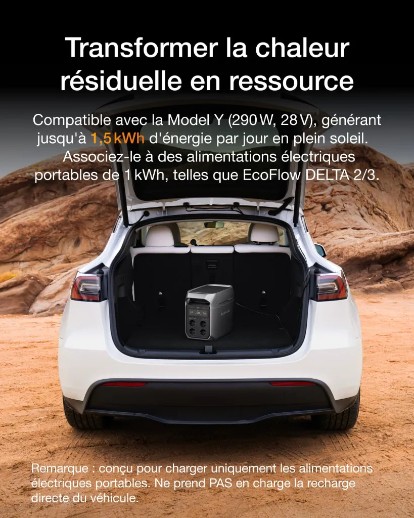 71PbENNwr6L._SL1500_.webp