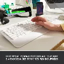 LD0005970719.webp