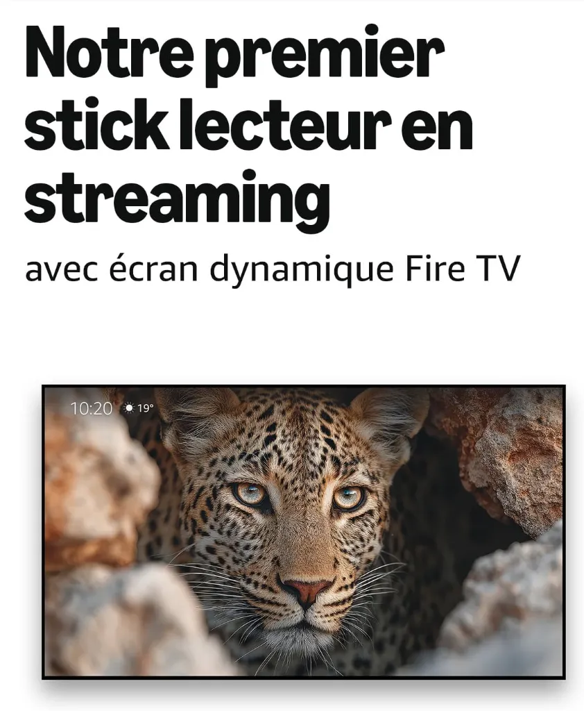 71vYkCnJ+eL._AC_SL1500_.webp