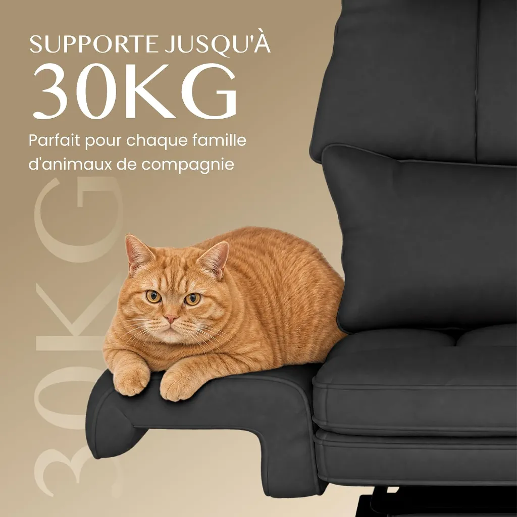 71vhTvCA2qL._AC_SL1500_.webp