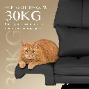 71vhTvCA2qL._AC_SL1500_.webp
