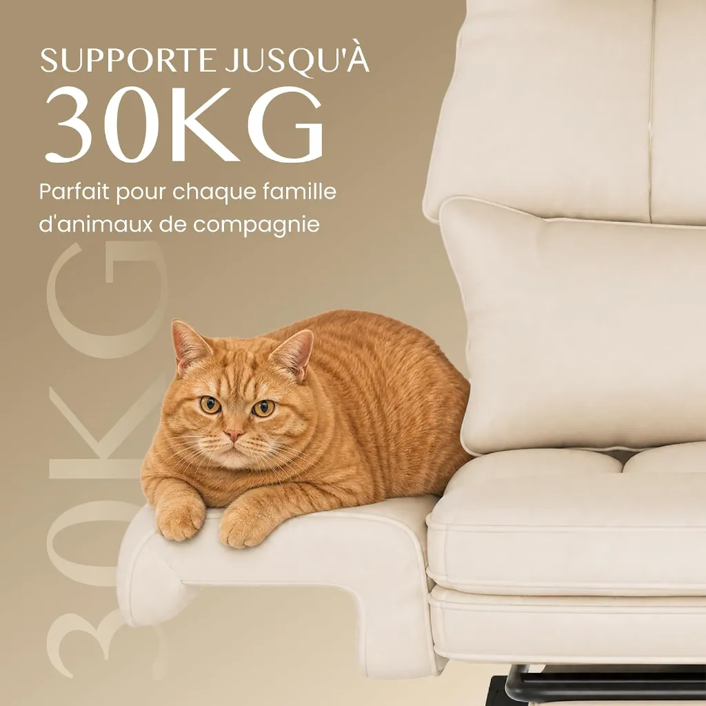 71aIYyPJZVL._AC_SL1500_.webp