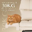 71aIYyPJZVL._AC_SL1500_.webp