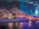 611nzfLd2TL._AC_.webp