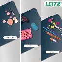 81KN8ShcxrL._AC_SL1500_.webp