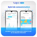 TP-Link  Prise Connectée WiFi, 16A Type E, Tapo P110