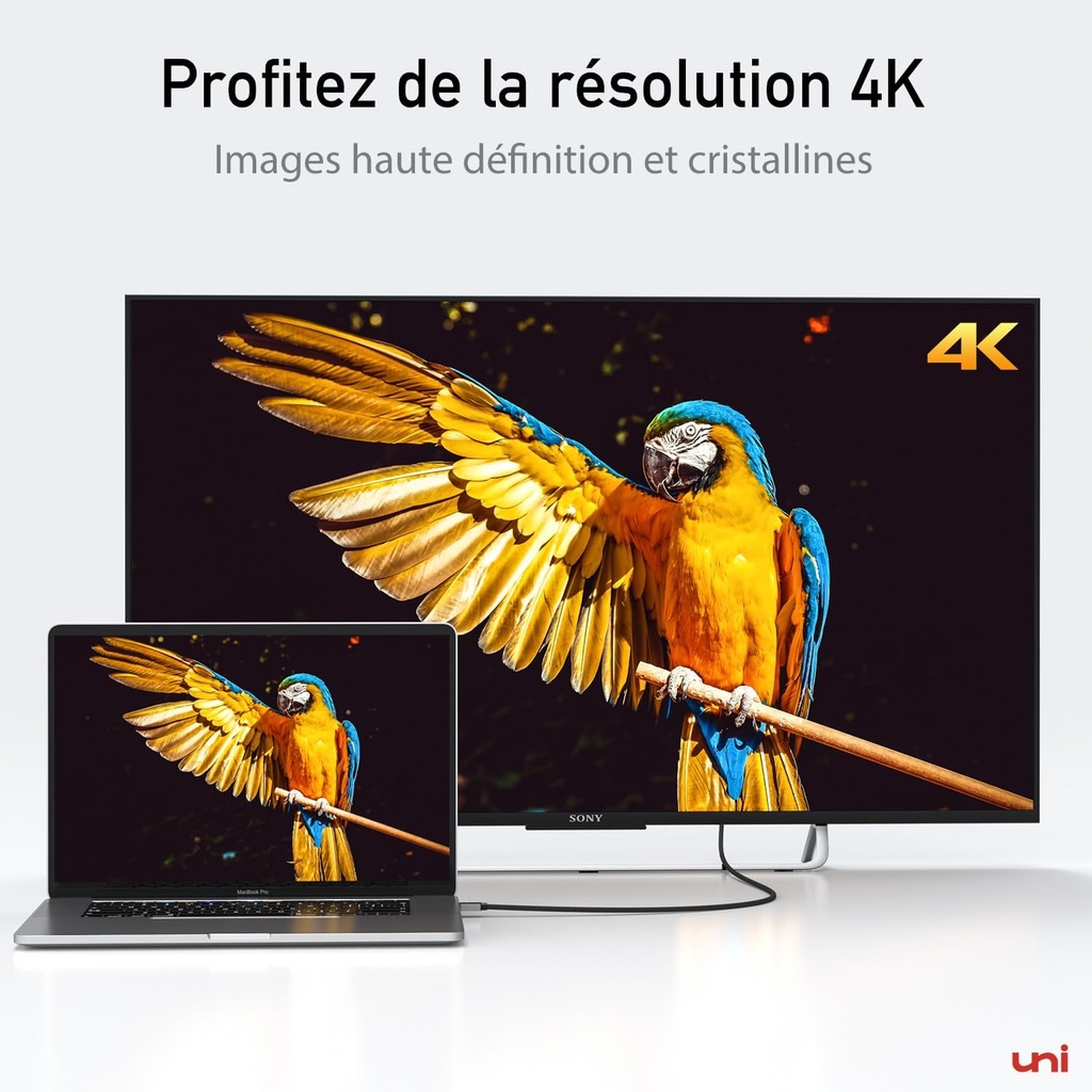uni Câble USB C vers HDMI 4K
