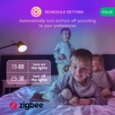 NOUS P3Z ZigBee 3.0 ampoule connectée led e27 RGB  Google Home Assistant 