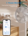 Meross Matte Prise intelligente avec consommation d'énergie, WiFi  HomeKit