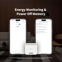 Aqara Module Relais Double T2  Homekit