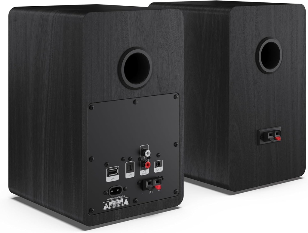 Sharp CP-SS30(BR)  Paire de Haut-parleurs étagère Actifs 2 Voies, boîtier en Bois