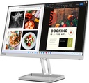 Lenovo L24i-40 Moniteur23,8 pouces FHD 