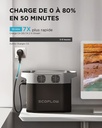Station électrique portable Delta 2 ECOFLOW, 1024Wh batterie LFP, charge rapide 13 ports