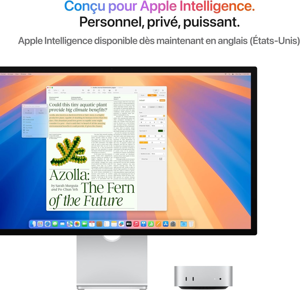 Apple Mac Mini 512 Go SSD 24 Go RAM Puce M4 CPU 10 Coeurs GPU 10 Coeurs