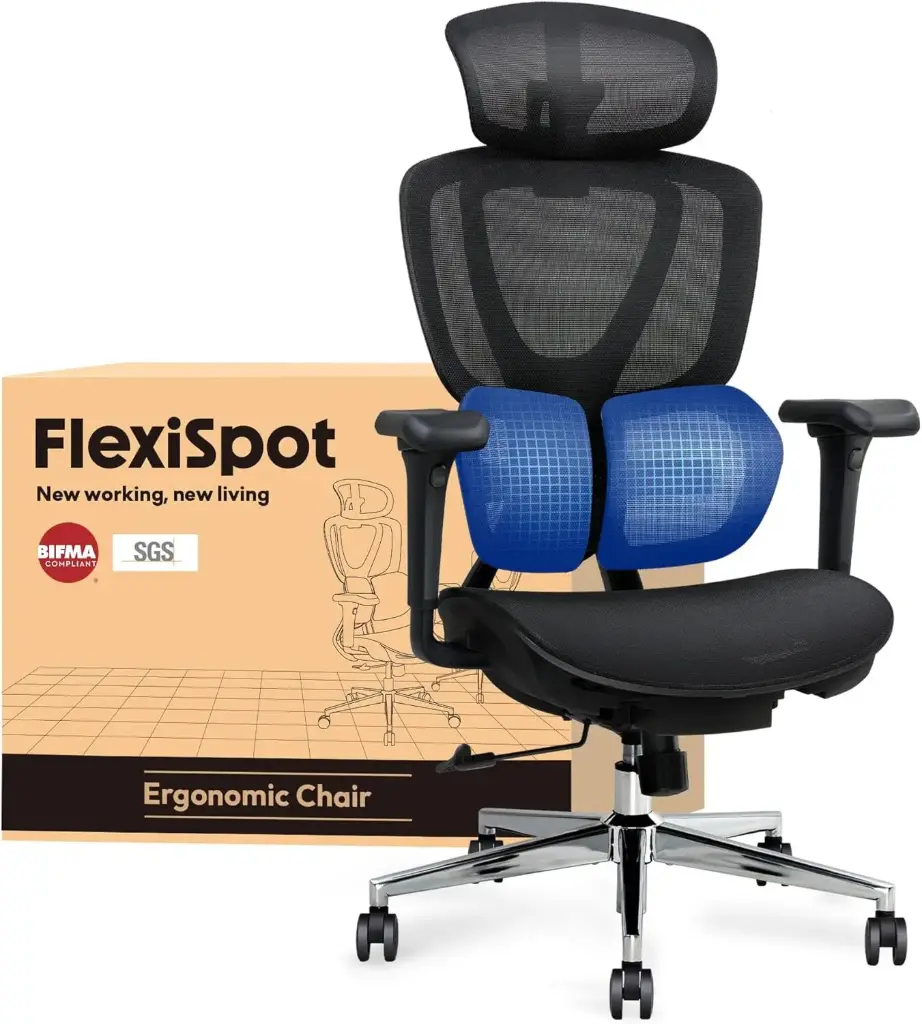 FLEXISPOT ErgoX Max Chaise de Bureau Ergonomique, Chaise de Bureau avec Support Lombaire, Appui-tête 3D et Profondeur d'assise Réglable Noir