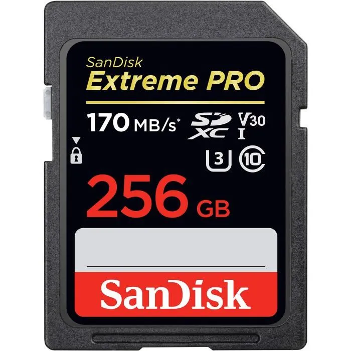 SanDisk Extreme PRO Carte SDXC 256 Go (Carte Micro SD V30, Vitesse de Transfert jusqu'à 200 Mo/s