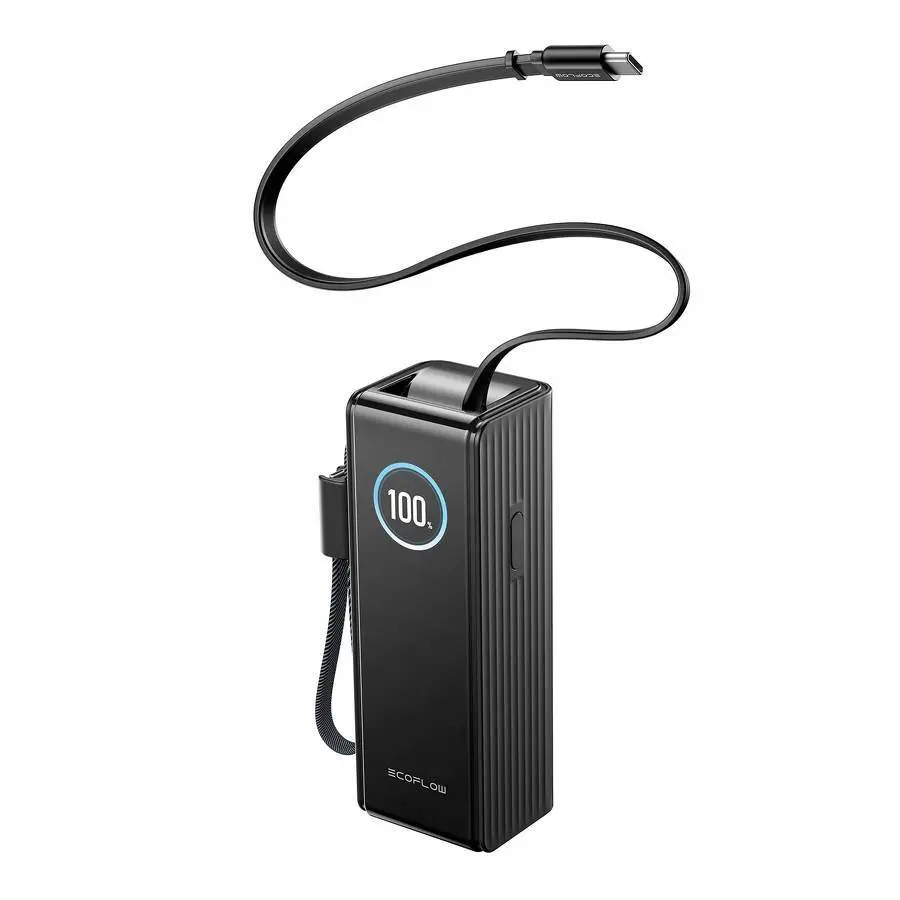 Batterie externe EcoFlow Powerbank (25 000 mAh, 170 W, 100 W, câbles rétractables intégrés)