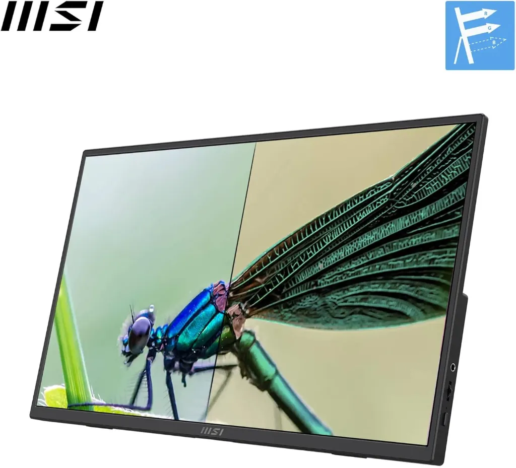 MSI PRO MP165 E6, écran portable 15,6 pouces Full HD IPS, USB-C et HDMI