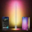 Govee Lampadaire LED RGBIC, Lampe sur Pied Salon Compatible avec Alexa et Matter, 152cm (Gris)
