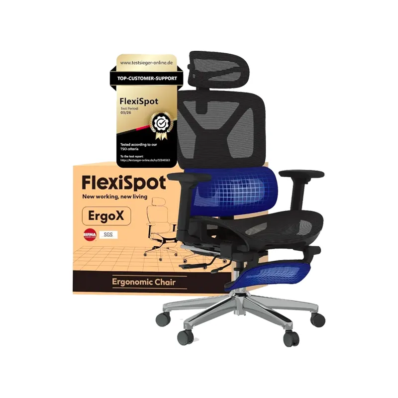 FlexiSpot ErgoX Fauteuil de bureau ergonomique, noir