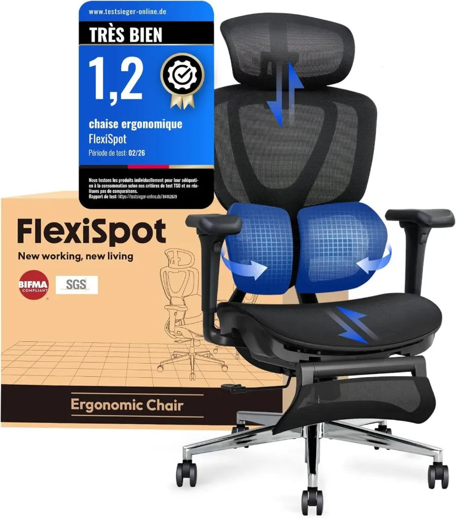 FLEXISPOT OC8 Fauteuil de bureau, appui-tête 3D, noir
