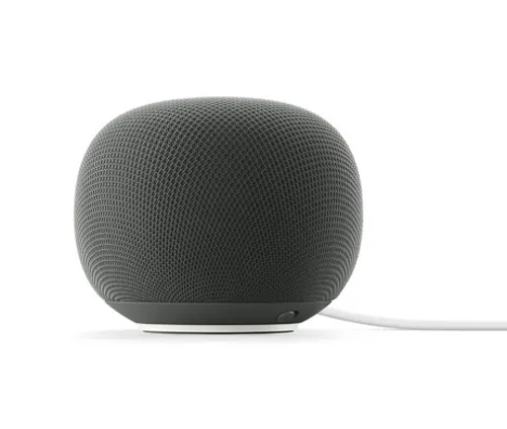 Enceinte intelligente Google Home Speaker