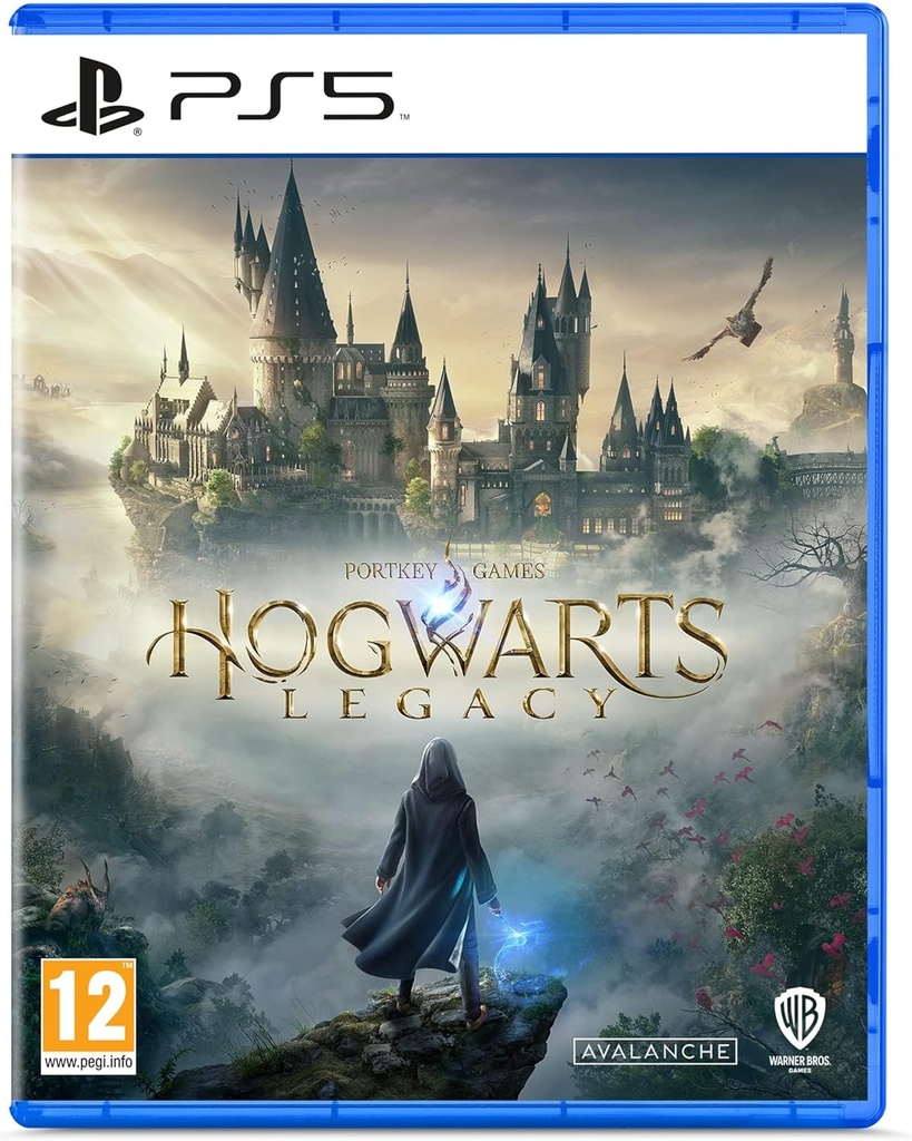 Hogwarts Legacy : L'heritage De Poudlard PS5