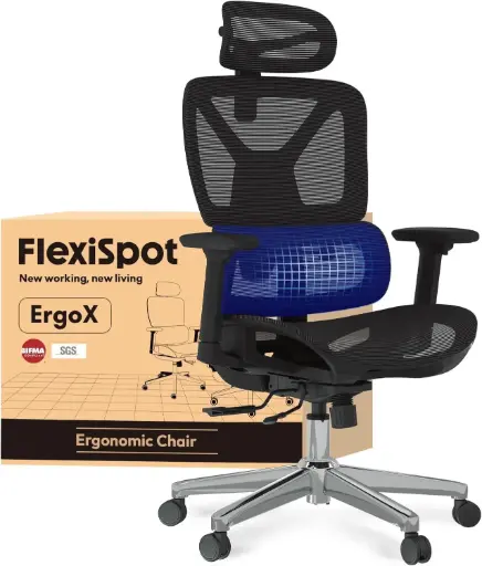 FLEXISPOT ErgoX Chaise Bureau, Accoudoirs 3D, Chaise Ergonomique en Maille Pivotante Réglable en Hauteur avec Appuie-tête et Soutien Lombaire Indépendant, Noir